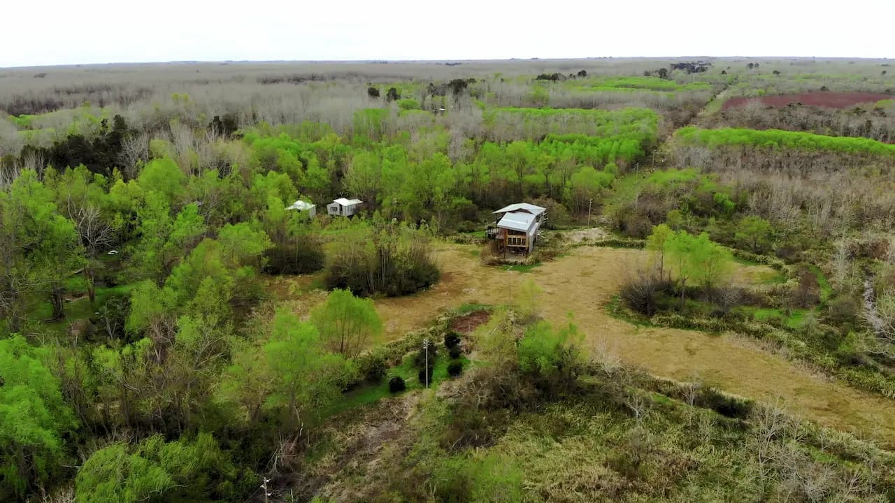 El entorno de humedal y vegetación nativa en El Pantano, Delta del Paraná